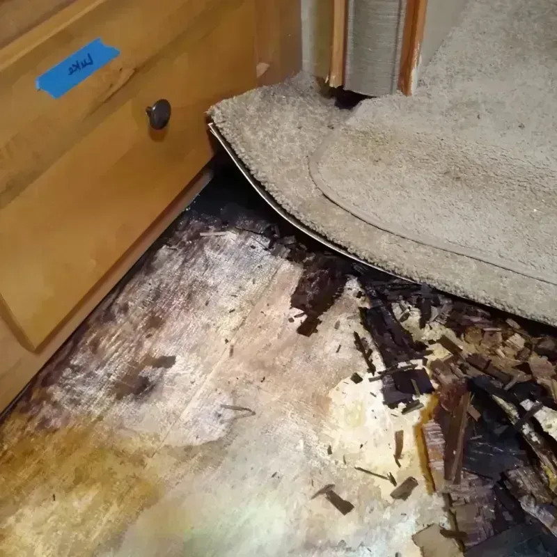 Best Wood Floor Water Damage Service in Kittanning, PA